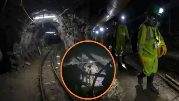 Pataz: 13 mineros asesinados, el Estado brilla por su ausencia