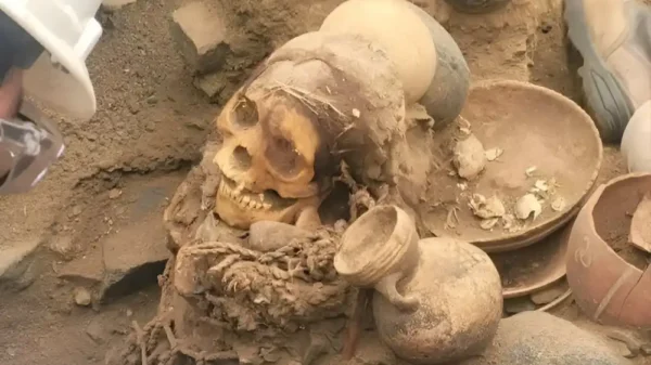 Hallazgo arqueológico en Puente Piedra: fardo funerario Chancay sorprende en obras