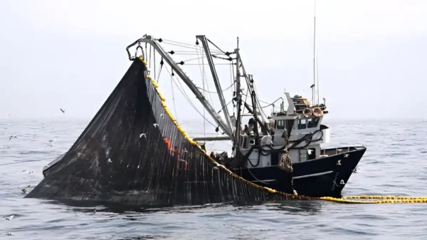 Produce finaliza la Primera Temporada de Pesca de Anchoveta 2025 en el norte-centro del Perú