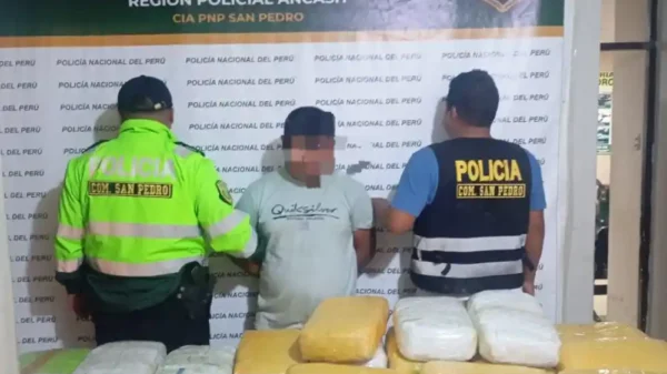 Capturan a cabecilla narco en Chimbote con más de 180 kilos de marihuana