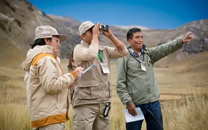 Brigadas formadas por un observador, un registrador y un guía comunal.