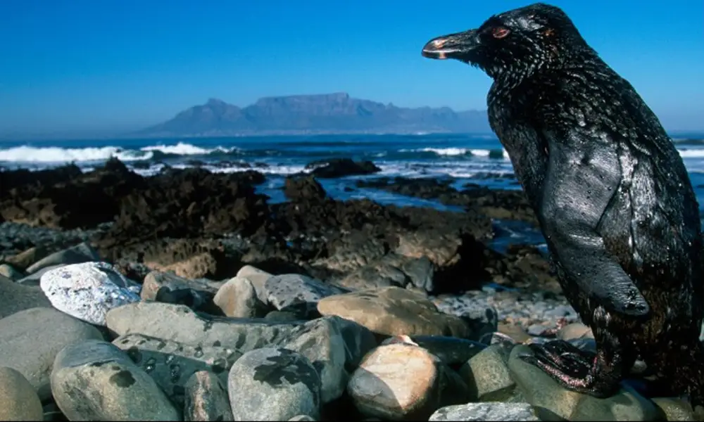 Poder Judicial aprueba indemnización de USD 111 M por derrame de petróleo en Ventanilla