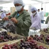Perú lidera exportación mundial de uvas en 2025