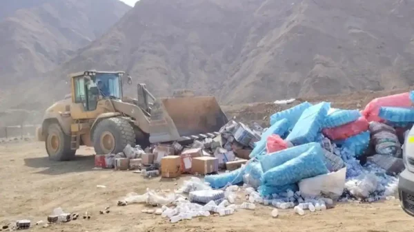 Digemid destruye 14 toneladas de medicamentos ilegales y vencidos en Lima