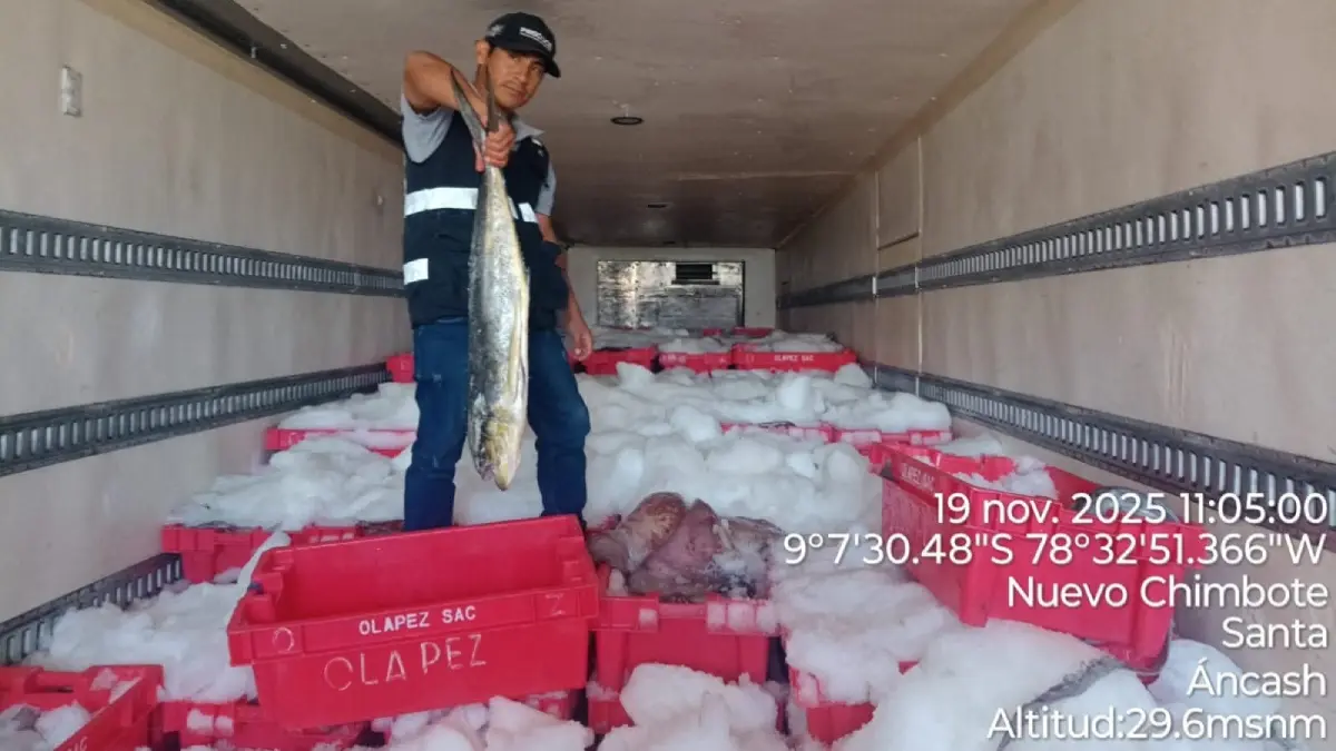 Fiscalía ambiental detecta más de 14 toneladas de pota y perico sin sustento legal