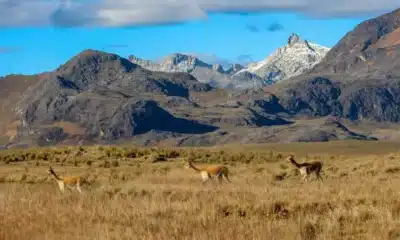 Nueva ACR en Áncash para proteger cabeceras de cuenca en Pallasca y Corongo