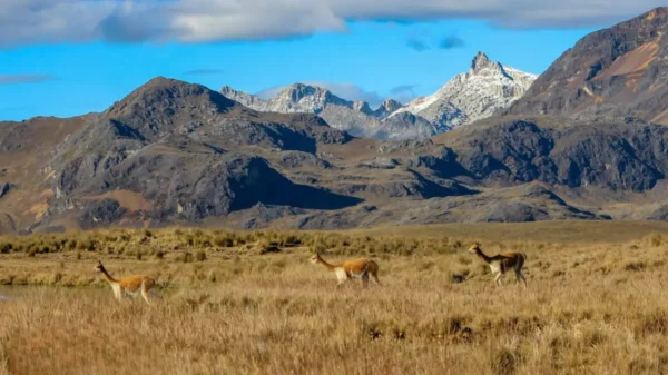 Nueva ACR en Áncash para proteger cabeceras de cuenca en Pallasca y Corongo