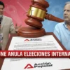 JNE anula primarias de Acción Popular y excluye al partido de las elecciones 2026