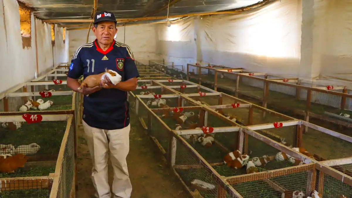 Foncodes amplía el proyecto Haku Wiñay en Áncash para fortalecer la economía rural