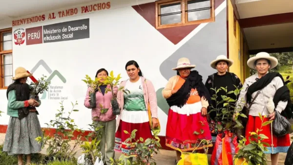 Pobladores de Pomabamba reciben plantones para la creación de biohuertos familiares en Áncash mediante programas del Midis.