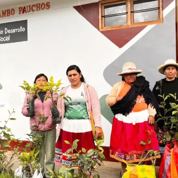 Pobladores de Pomabamba reciben plantones para la creación de biohuertos familiares en Áncash mediante programas del Midis.