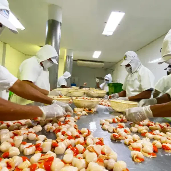 Exportaciones hidrobiológicas del Perú con certificación sanitaria de Sanipes para el mercado internacional.