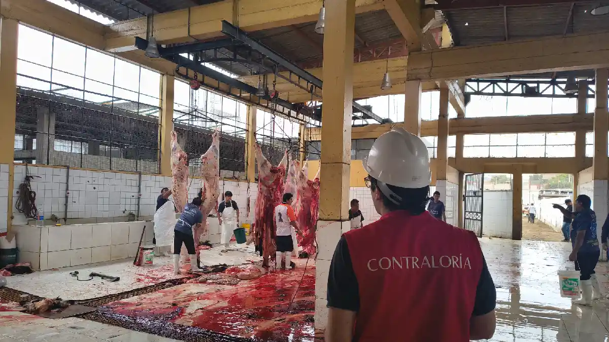 Contraloría detecta incumplimientos ambientales en el camal municipal de Chimbote en Áncash