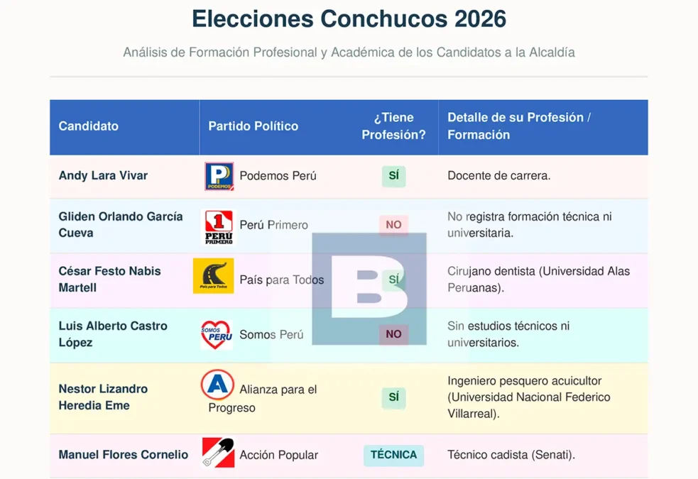 Cuadro de formación profesional de candidatos elecciones 2026