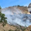 Subprefecto Ángelito Canchis Fernández exhorta a reforzar la prevención tras el incendio forestal en Pallasca.