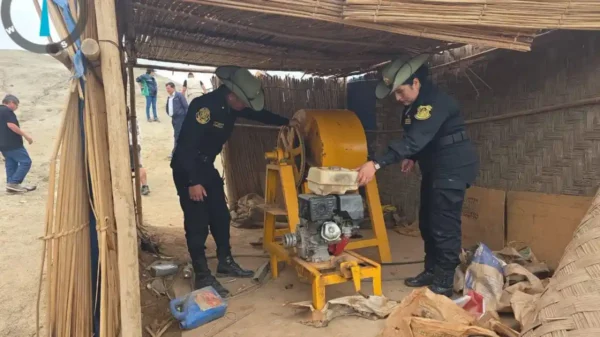 Efectivos policiales y la Fiscalía Ambiental en pleno operativo contra la minería ilegal en Nuevo Chimbote destruyendo socavones clandestinos.