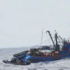 Marina de Guerra rescata a siete pescadores chimbotanos tras el hundimiento de su embarcación frente a San Juan de Marcona.