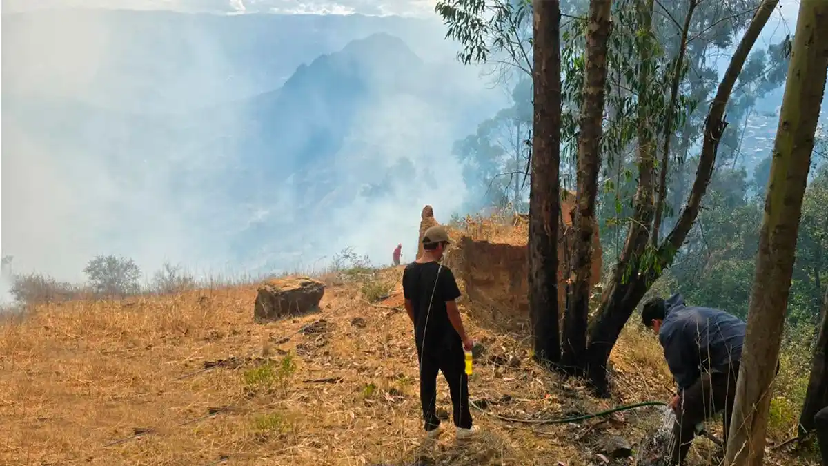 Pobladores de Bolognesi combaten el incendio forestal en Pallasca con herramientas y equipos improvisados para evitar el avance de las llamas.